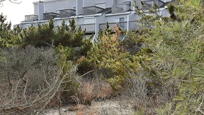 Townhome, 4 Bedrooms | Property grounds - Indian Harbor Villas 17 by Long & Foster (Bethany Beach)