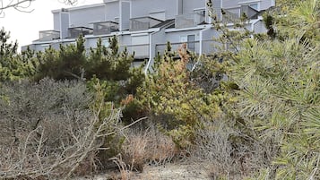 Townhouse, 4 kamar tidur | Halaman properti