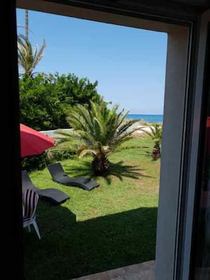 Enjoy a serene view of the outdoor area with a palm tree, lounge chairs, and a body of water.