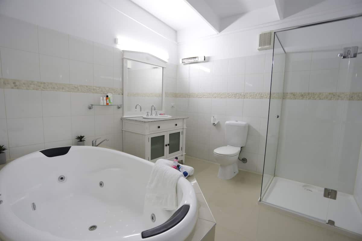 free toiletries, hair dryer, towels