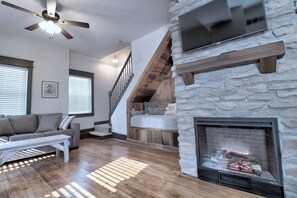 Smart TV, fireplace, books