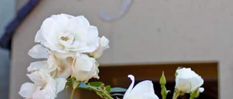 Un edificio con el cartel "InnJoy" y rosas blancas en primer plano.