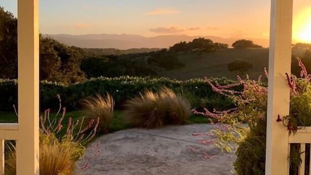 Un camino de concreto que lleva a una vista panorámica del atardecer sobre colinas y un jardín con diversas plantas.