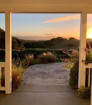 A concrete pathway leading to a scenic view of a sunset over hills and a garden with various plants.