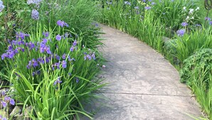 A stone pathway surrounded by lush green plants and purple flowers. - Cozy Studio apartment with a Courtyard  (North Pole)
