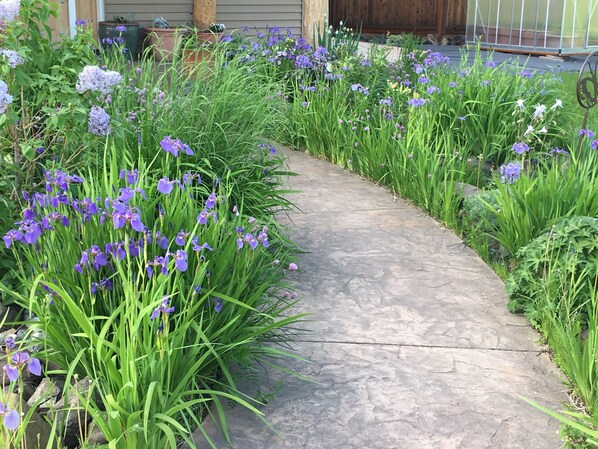Un chemin de pierre bordé d’une végétation luxuriante et de fleurs violettes.