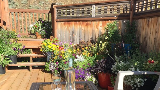A glass-top table with chairs on a wooden deck, surrounded by potted plants and a wooden fence. - Cozy Studio apartment with a Courtyard  (North Pole)