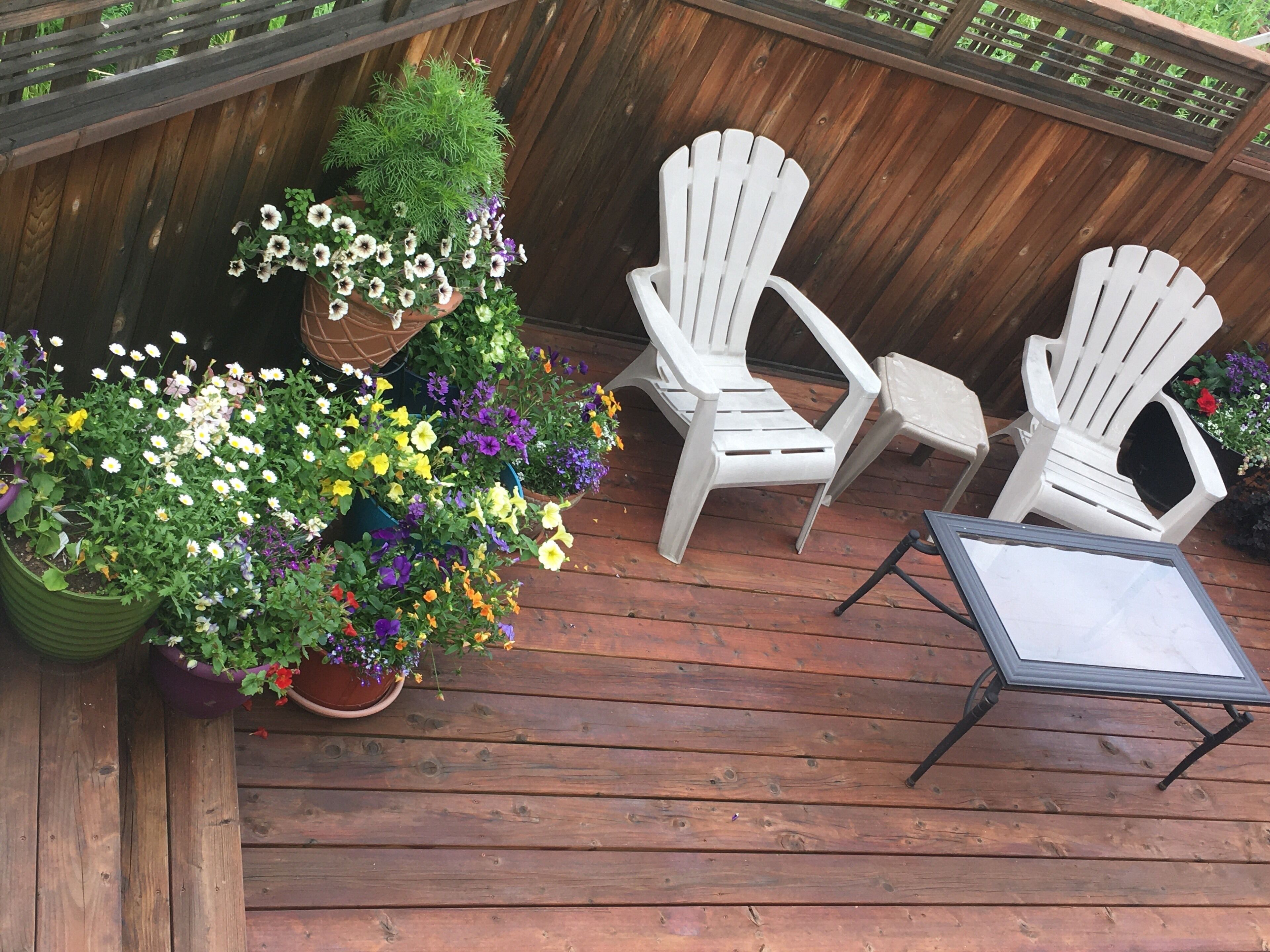 Una terraza de madera con dos sillas Adirondack blancas, una mesita y varias macetas con plantas.