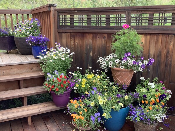 Jardines del alojamiento