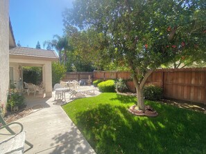 Opções para refeição ao ar livre