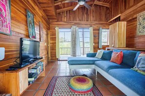 Televisión, reproductor de DVD, libros y estéreo 