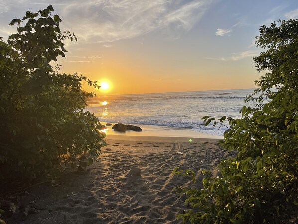 En la playa, camastros y toallas de playa 