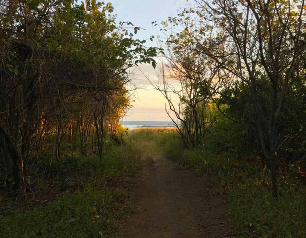 施設の敷地