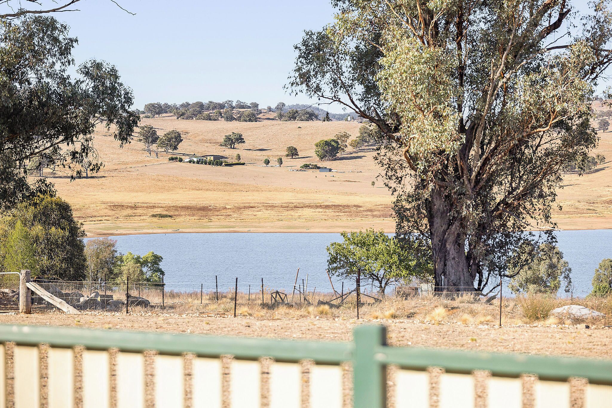 A dry landscape with a large tree in the foreground, a body of water, and a fenced area with a wooden structure.