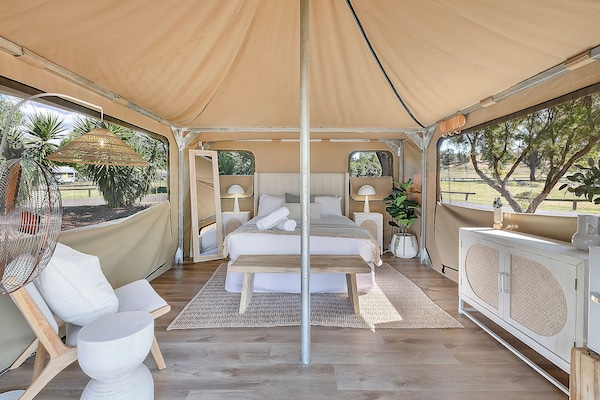 Cortinas blackout y ropa de cama