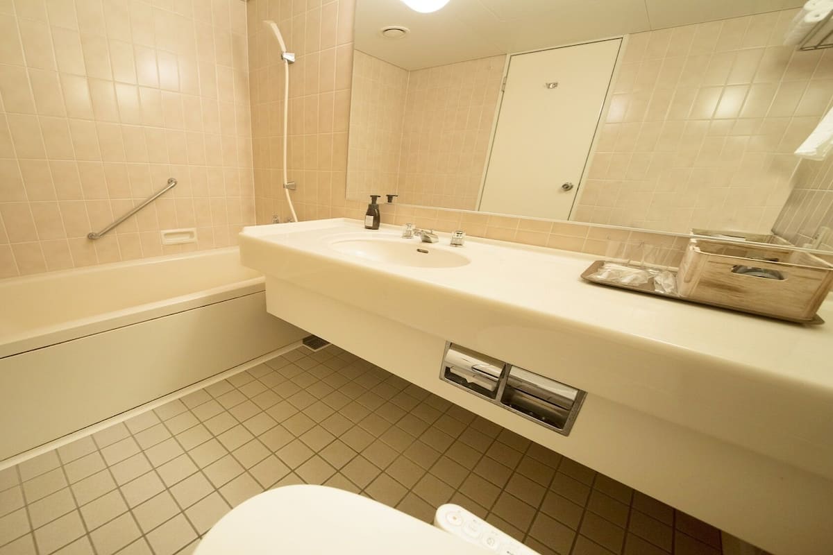 Ensemble baignoire-douche, articles de toilette (gratuits)
