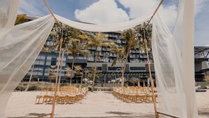 An outdoor seating area with chairs arranged in rows, a building with balconies in the background, and palm trees.