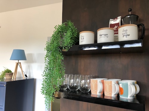 Warm modern retreat nestled by Rotorua’s Redwoods with cozy retro charm