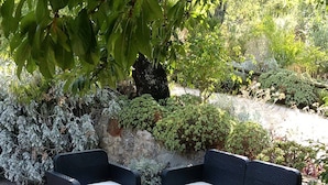 Terrace/patio - Casa Amoreira - Quinta Amoreira (Faro)