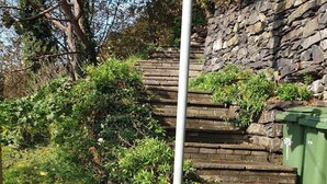 Une série de marches en pierre menant à un mur de pierre, le tout entouré de verdure et agrémenté d’un poteau en métal.