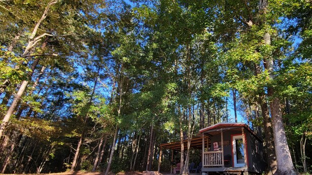 A rustic cabin with a porch, surrounded by tall trees and a dirt path.
