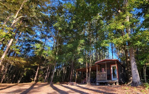 Hirsimökki metsässä