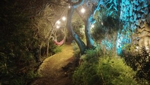 A nighttime garden path with trees and a hammock. - Luxury Beach Escape, Sea View Hottub,cinema Lounge (Maracalagonis)