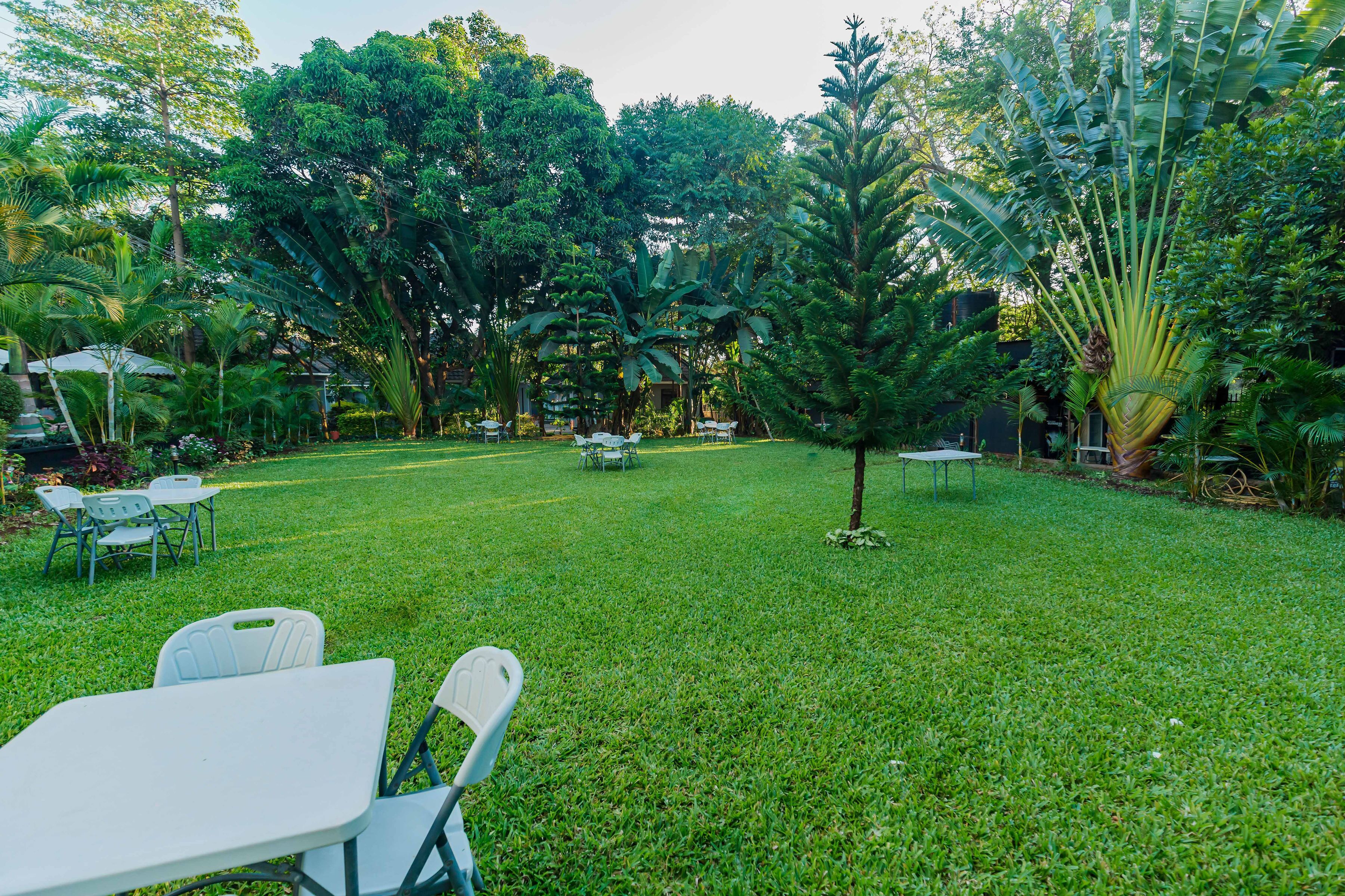 A grassy outdoor area with tables and chairs, surrounded by various trees and plants.
