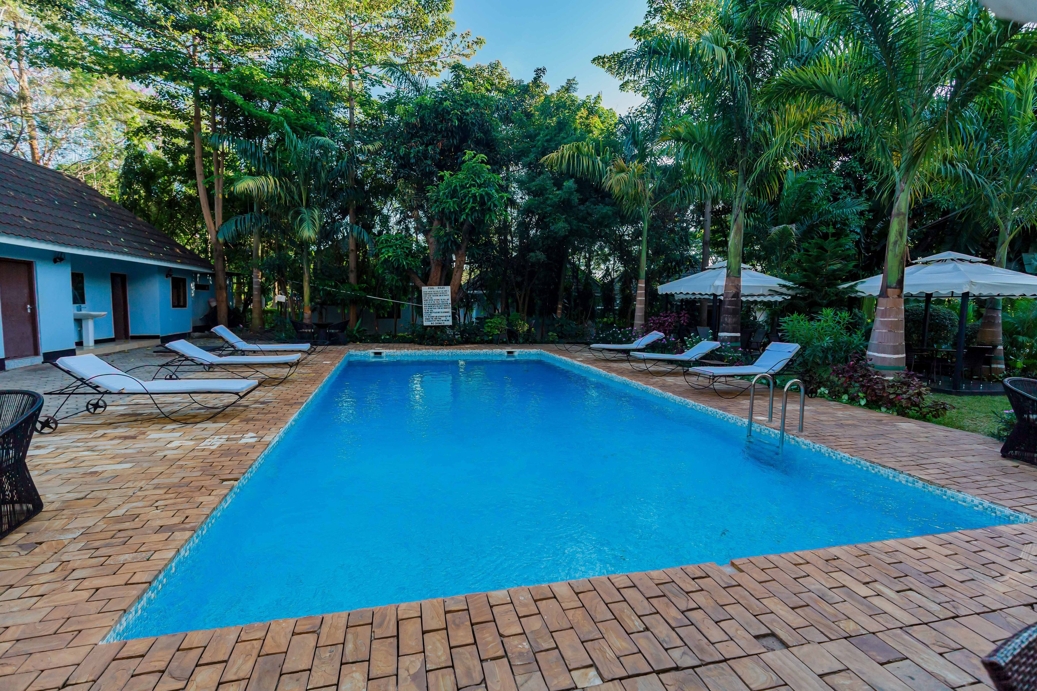 A rectangular swimming pool with a tiled edge, surrounded by lounge chairs and umbrellas.