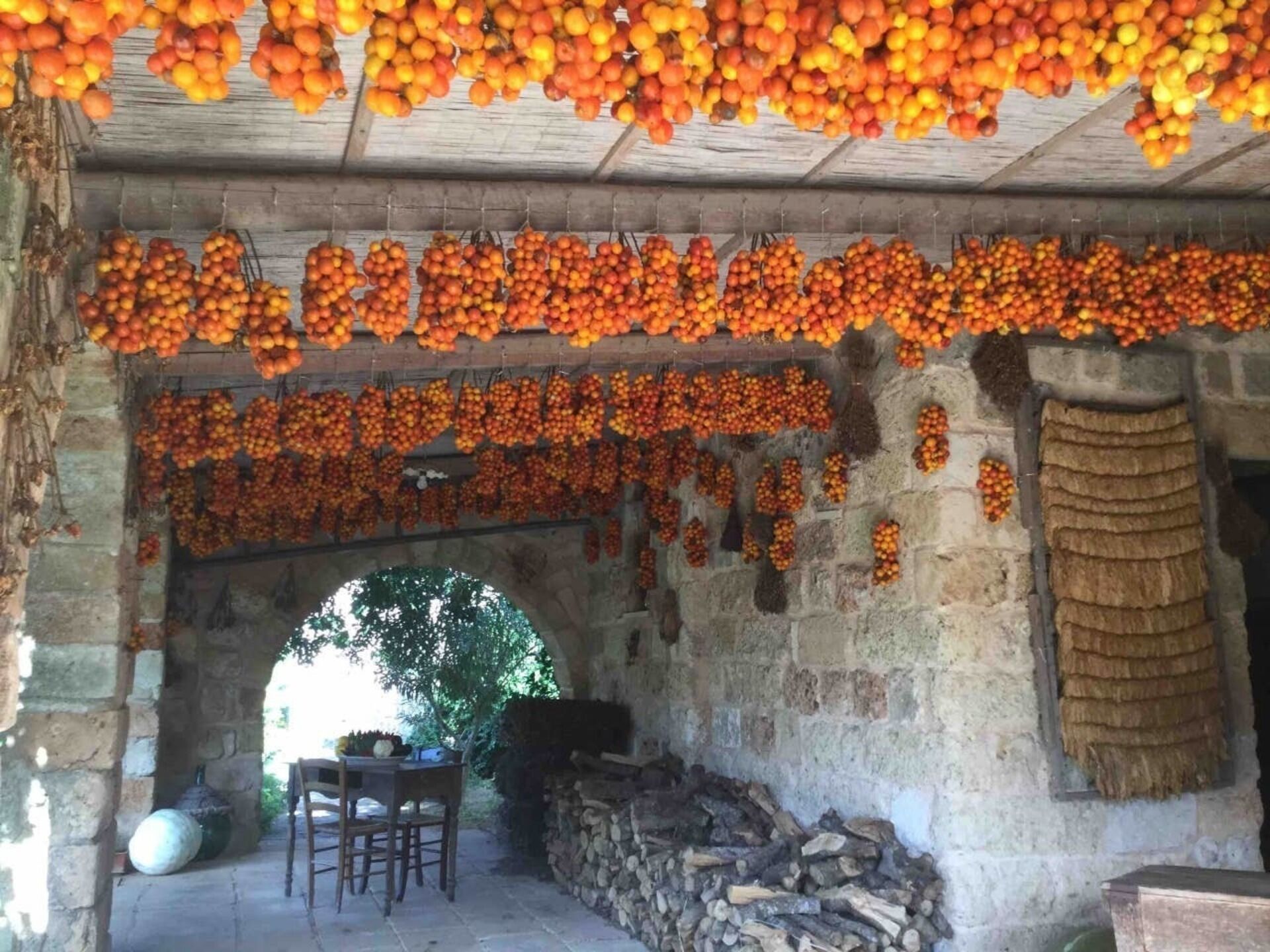 Ferienhaus | Aussenbereich