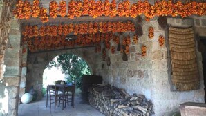 Um edifício rústico de pedra com teto de madeira e paredes decoradas com cachos pendentes de frutas vermelhas e laranjas.
