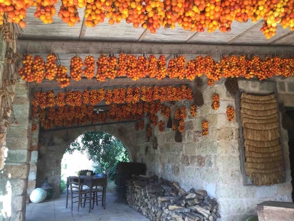Un bâtiment rustique en pierre, doté d’un plafond en bois et de murs ornés de grappes de fruits rouges et oranges suspendues.