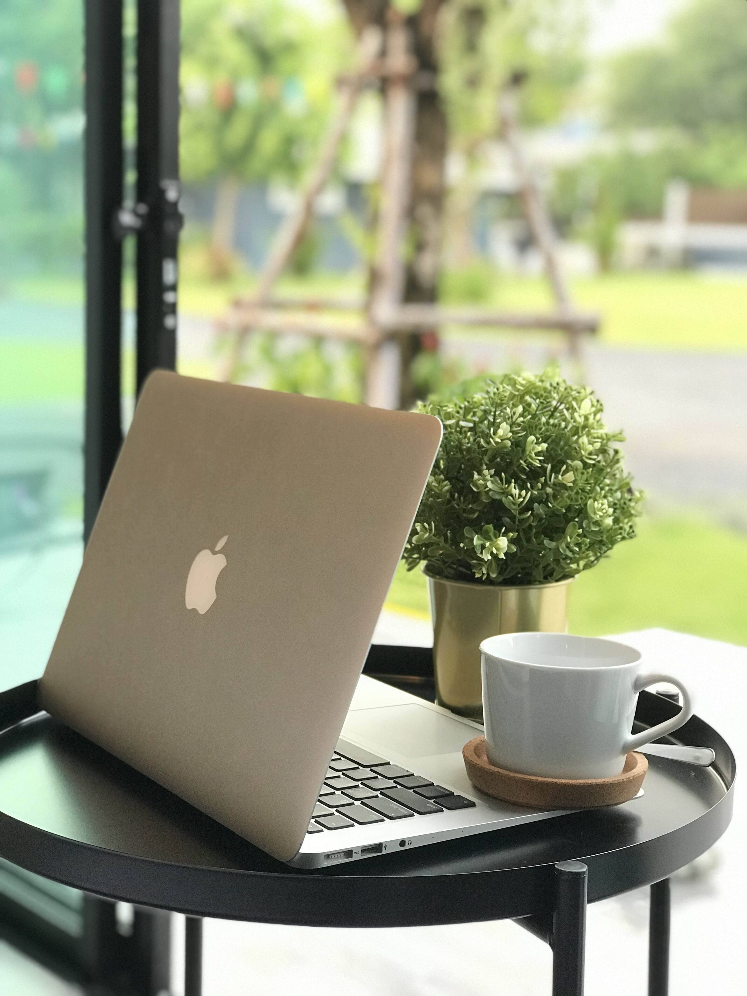 A laptop on a table with a cup and a small potted plant.