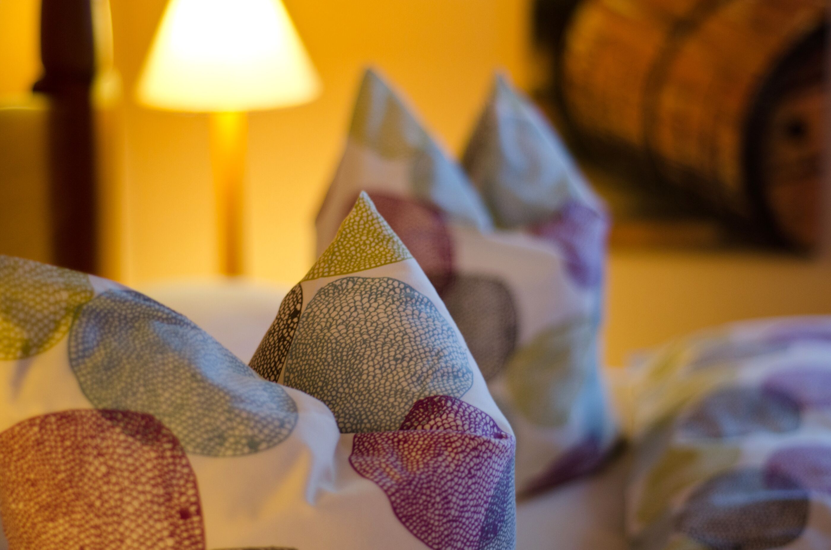 Foto - Finca Sol y Vida - Agroturismo Son Sampoli