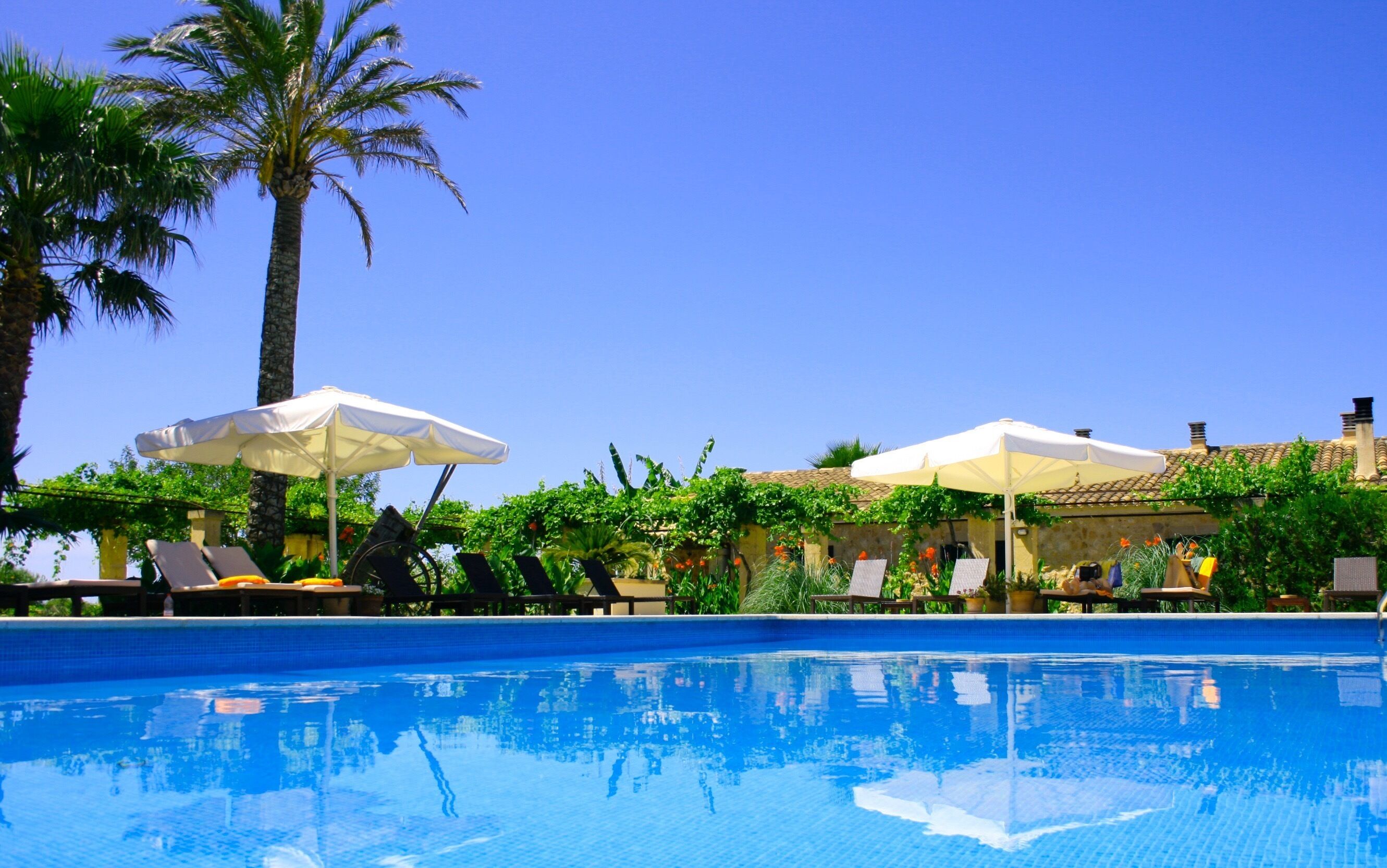 Foto - Finca Sol y Vida - Agroturismo Son Sampoli