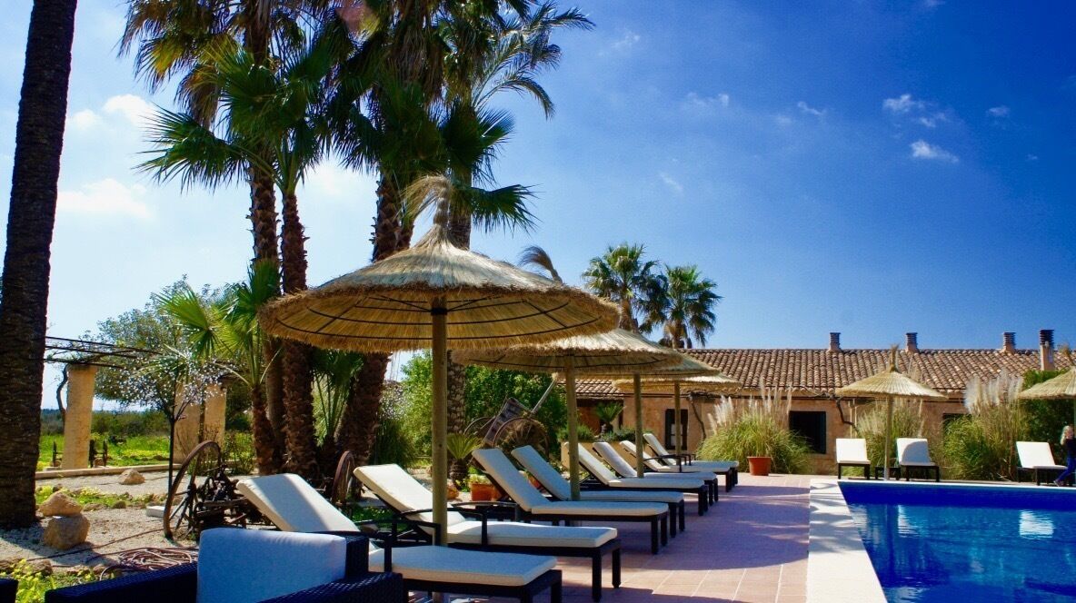 Foto - Finca Sol y Vida - Agroturismo Son Sampoli