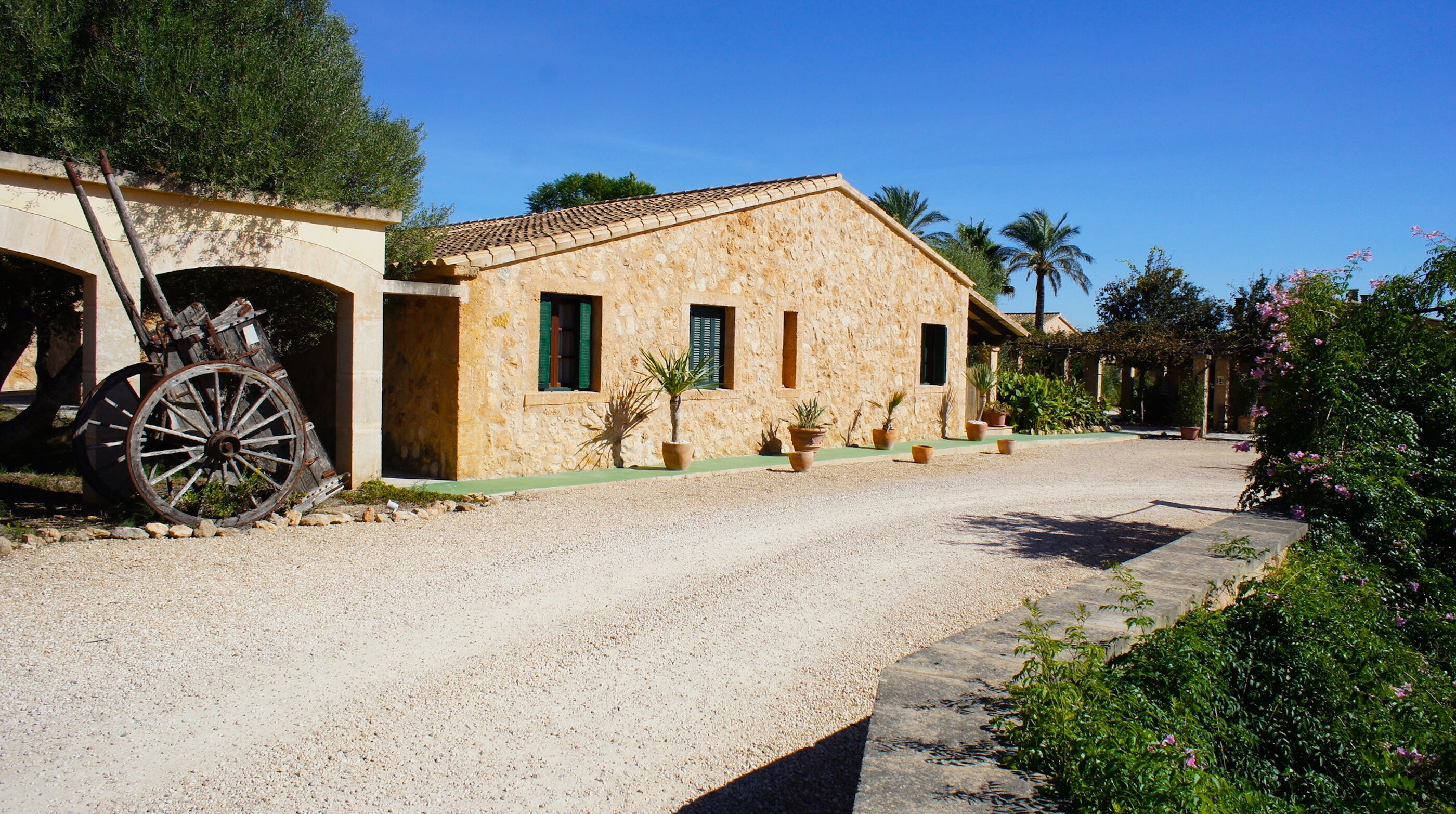 Foto - Finca Sol y Vida - Agroturismo Son Sampoli