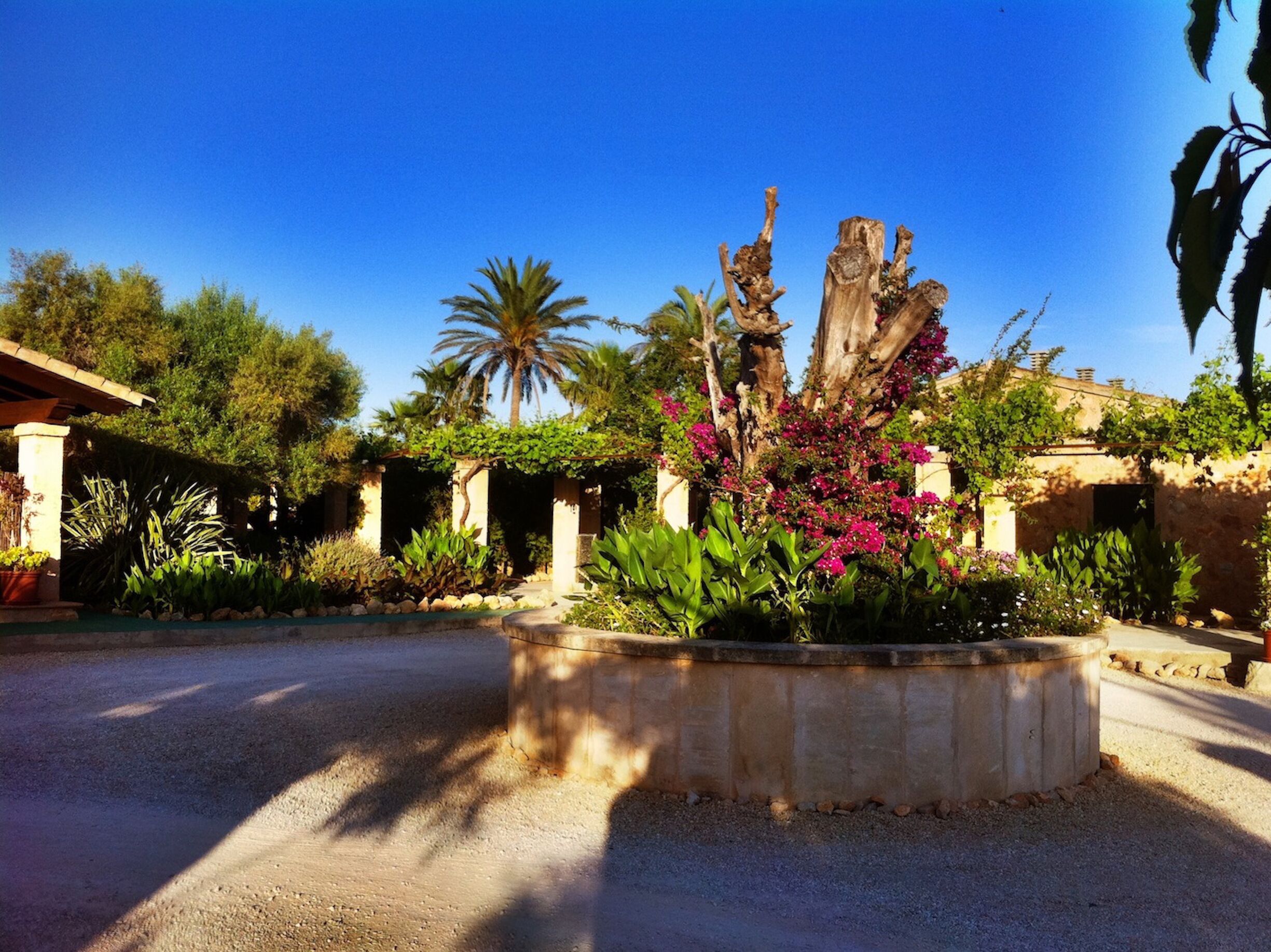 Foto - Finca Sol y Vida - Agroturismo Son Sampoli