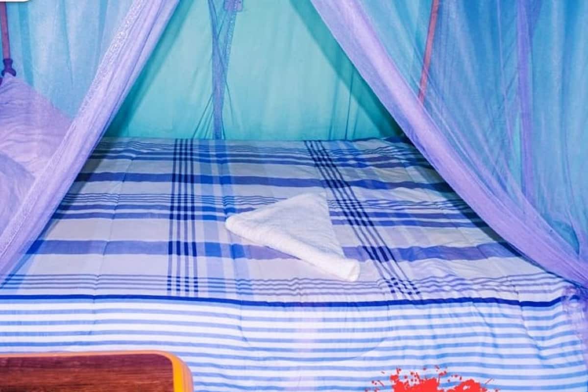 Escritorio, espacio para trabajar con laptop y wifi gratis
