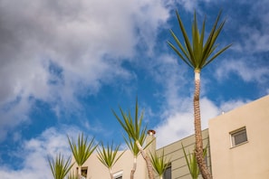 Exterior - Villa Familia Chania (Chania)