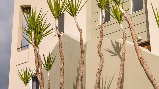 A modern building with a flat facade, multiple windows, and a clear sky. - Villa Familia Chania (Chania)