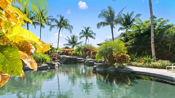Una piscina cristalina rodeada de plantas tropicales y palmeras.