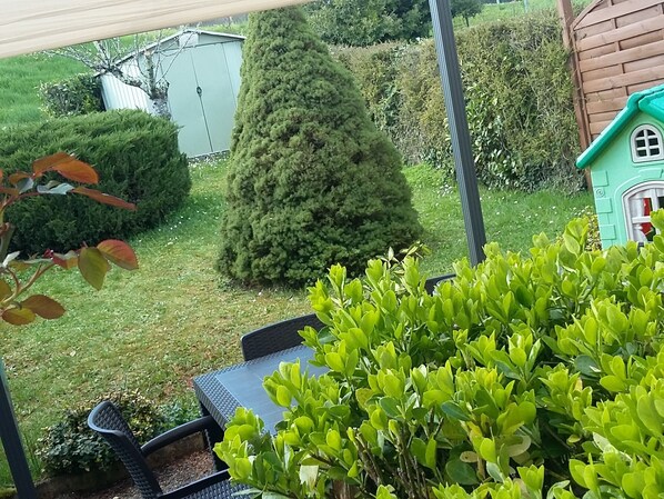 A garden with a green bush, a tall coniferous tree, and a small wooden playhouse.
