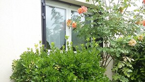 A garden with a variety of plants and flowers, a window, and a chair.