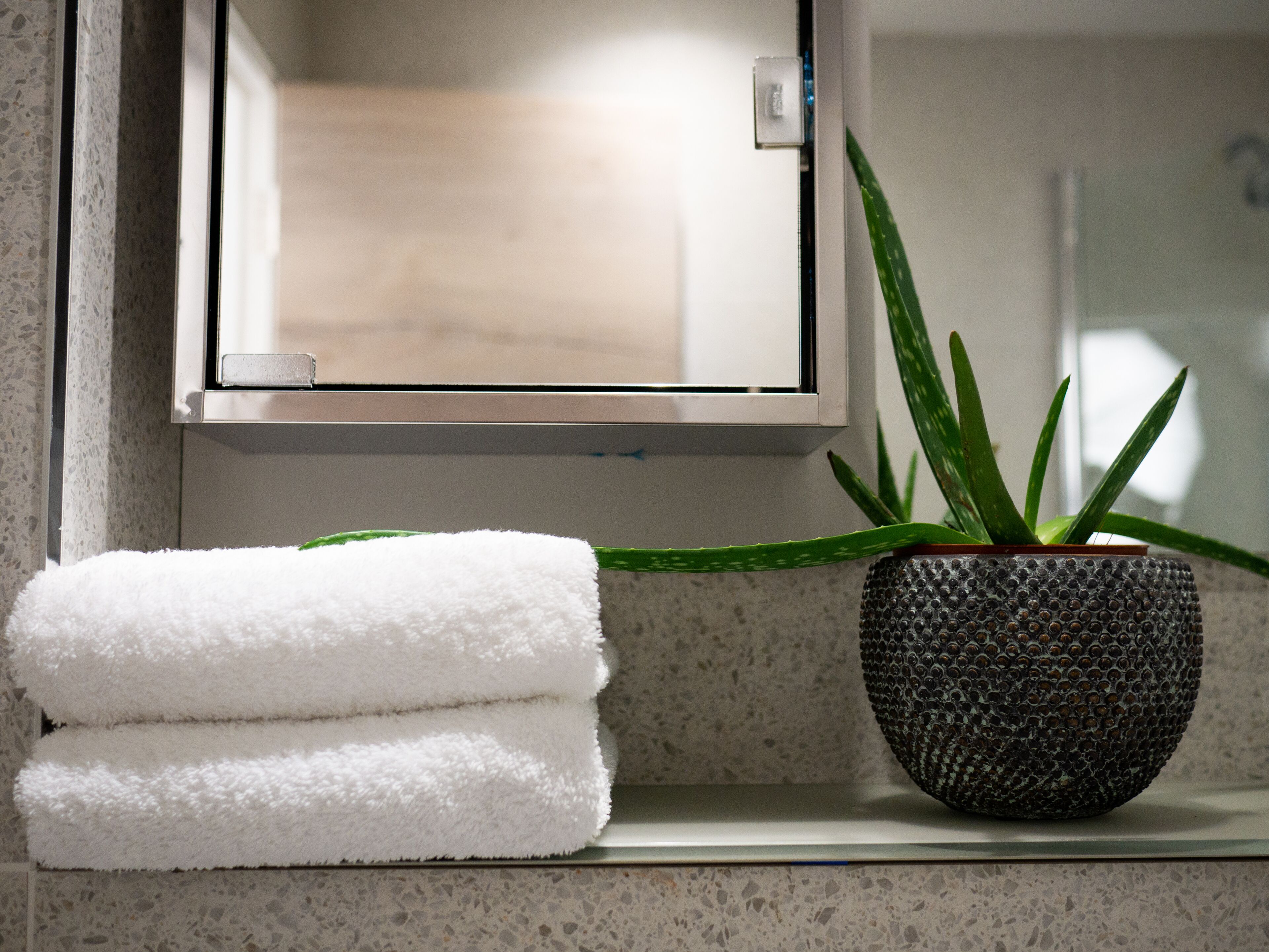 Un bagno con un portasciugamani pieno di asciugamani piegati, una pianta di aloe in vaso e uno specchio.