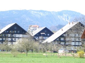 Una hilera de edificios tipo chalet con techos inclinados, frente a un paisaje montañoso.