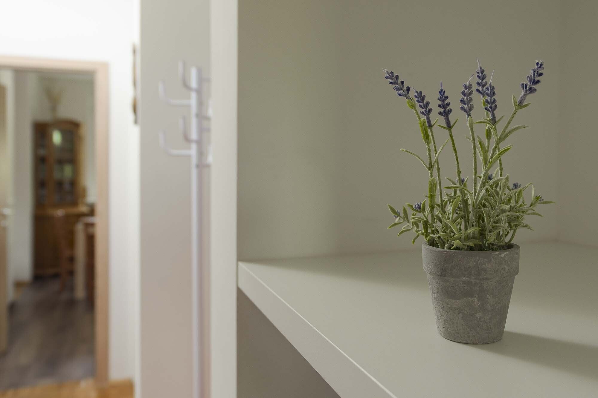 Leilighet – superior | Oppholdsområde | En 74-tommers Flatskjerm-TV med kabel-kanaler samt smart-TV