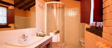 Shower, hair dryer, bidet, towels