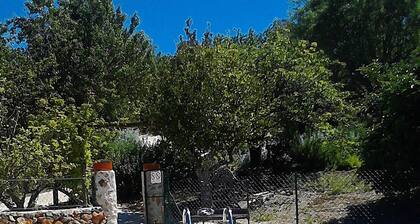 Casa Adega - Quinta Amoreira