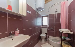 A bathroom with a sink, toilet, bathtub, and shower. - Lovely Villa Ana (Svetvincenat)